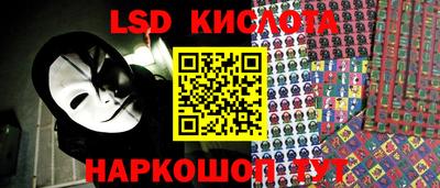 PSILOCYBIN Бугуруслан