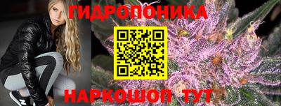 стаф Бузулук
