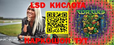 PSILOCYBIN Бугуруслан