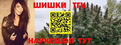 скорость Будённовск