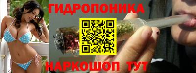 скорость Будённовск