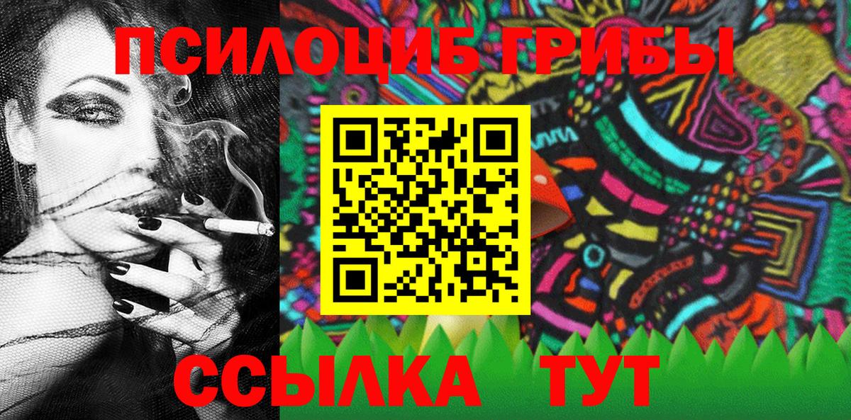 Псилоцибиновые грибы Psilocybine cubensis  Вход с VPN  Рассказово 